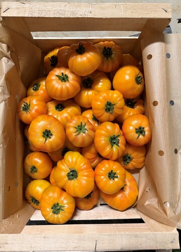 Tomate ananas catégorie 1 France