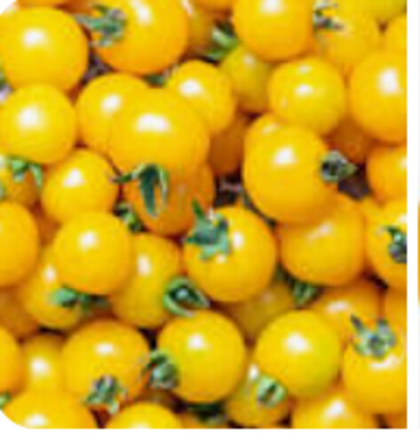 Tomate cerise jaune catégorie 1 France