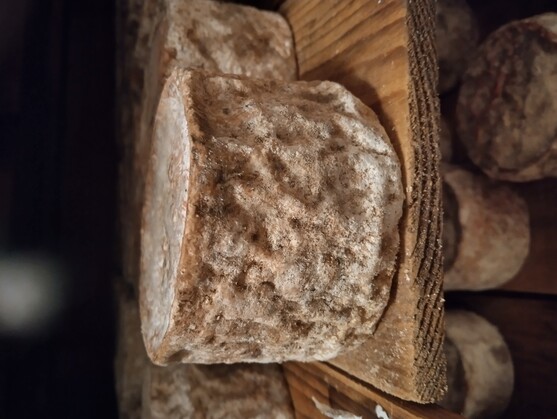 Tommette fermière de chèvre  
