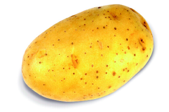 Pomme de terre alegria +60 catégorie 1