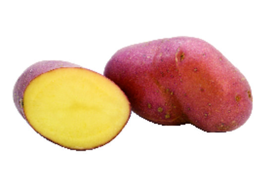 POMME DE TERRE ROUGE VALERIE LAVEE 35/55 catégorie 1 France