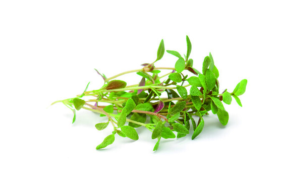 THYM CITRON 100G