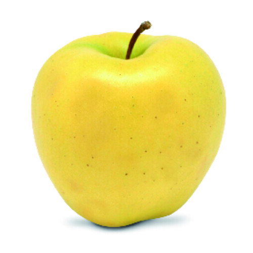 Pomme golden 170/200 bio catégorie 2 France