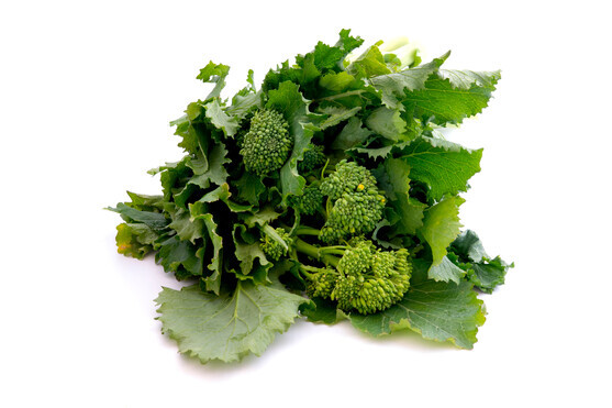 Brocoli rave bimi catégorie 1 France