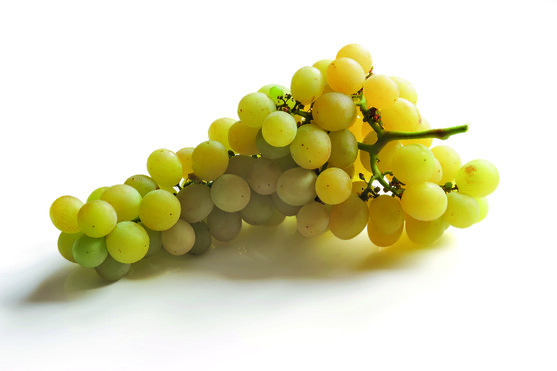 Raisin blanc danlas catégorie 1 France