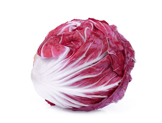 Trévise catégorie 1