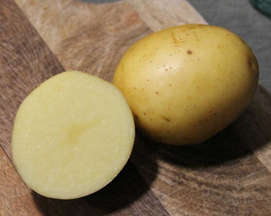 Pomme de terre lady christl lavée 40/45 catégorie 1 France