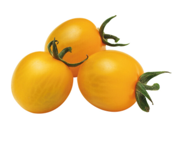 Tomate cerise jaune catégorie 2 France