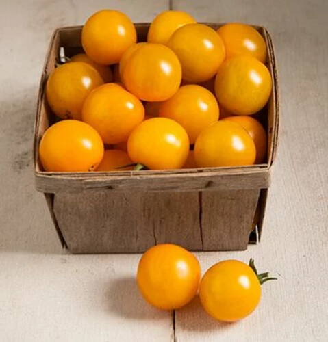 Tomate cerise orange catégorie 2 France