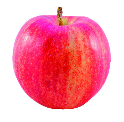 Pomme royal gala 136/165 bio catégorie 2 France