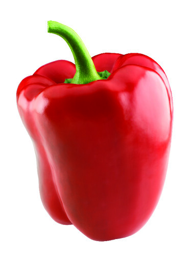 Poivron rouge catégorie 1 France
