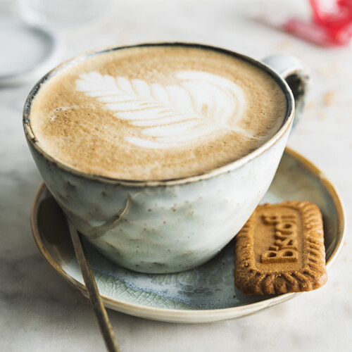 Biscuit speculoos biscoff original