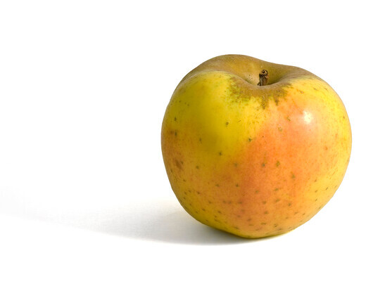 POMME REINE DES REINETTES 201/240 80/85 catégorie 2 France
