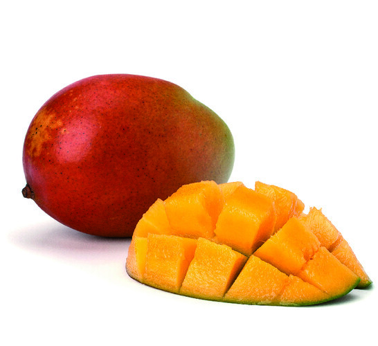 Mangue kent catégorie 1 