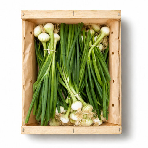 Oignon blanc catégorie 2 France