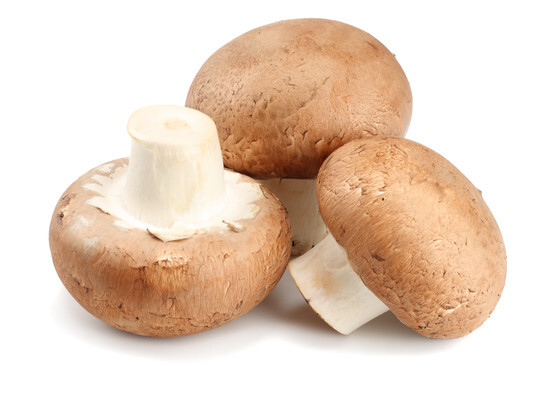 Champignon de paris brun bio catégorie2 France