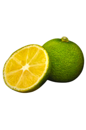 Citron sudachi catégorie 1