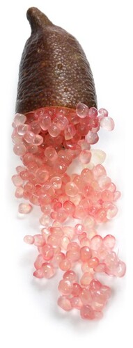 Citron caviar rose catégorie 1 