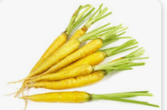 Mini carotte fane jaune catégorie 1