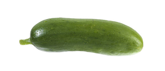 Mini concombre catégorie 1